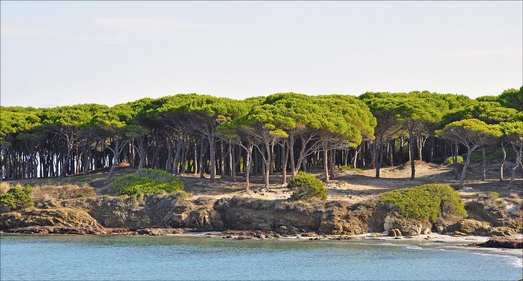 Appartamenti Le Magnolie Будони Экстерьер фото