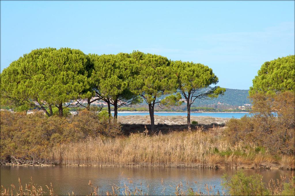 Appartamenti Le Magnolie Будони Экстерьер фото